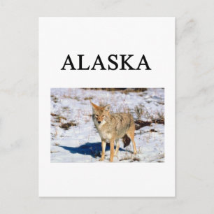 alaska postcard