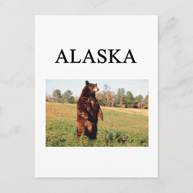 alaska postcard (Front)