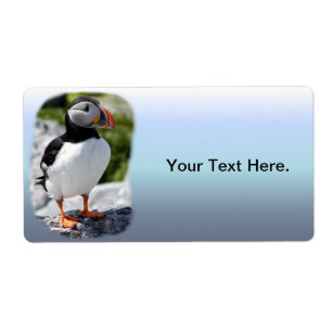 Alaska Puffins Feathered Colourful Birds