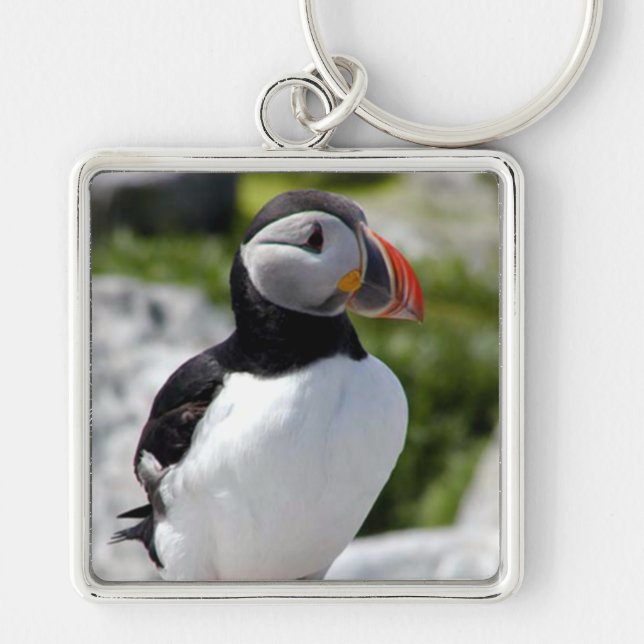 Alaska Puffins Feathered Colourful Birds Key Ring (Front)