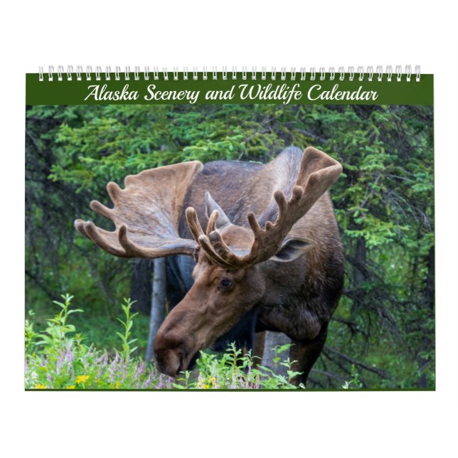 Alaska Scenery and Wildlife Calendar (Cover)