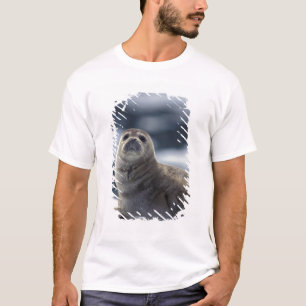 Alaska, southeast region Harbour seal on ice T-Shirt