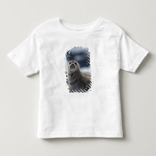 Alaska, southeast region Harbour seal on ice Toddler T-Shirt