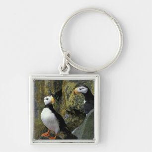 Alaska, St. Paul Island, the Pribilofs, horned Key Ring