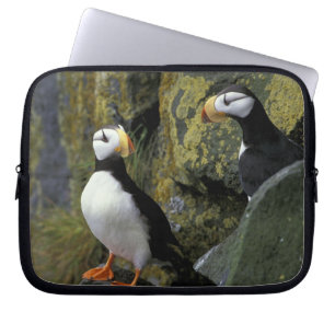 Alaska, St. Paul Island, the Pribilofs, horned Laptop Sleeve