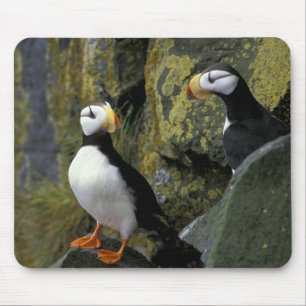 Alaska, St. Paul Island, the Pribilofs, horned Mouse Pad