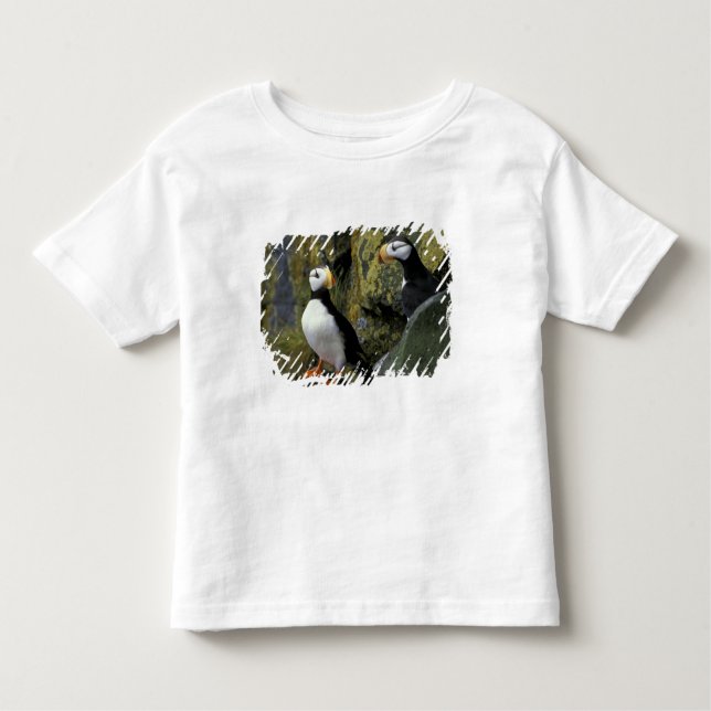 Alaska, St. Paul Island, the Pribilofs, horned Toddler T-Shirt (Front)