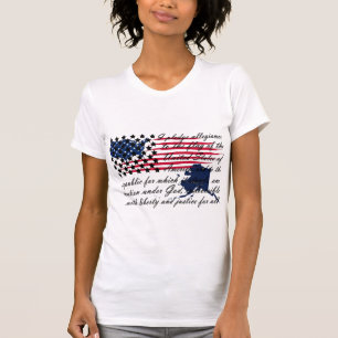Alaska state allegiance flag T-Shirt