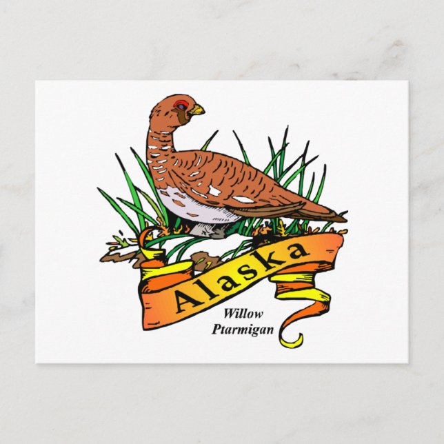 Alaska State Bird - Willow Ptarmigan Postcard (Front)