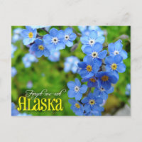 Alaska State Flower: Forget-me-not