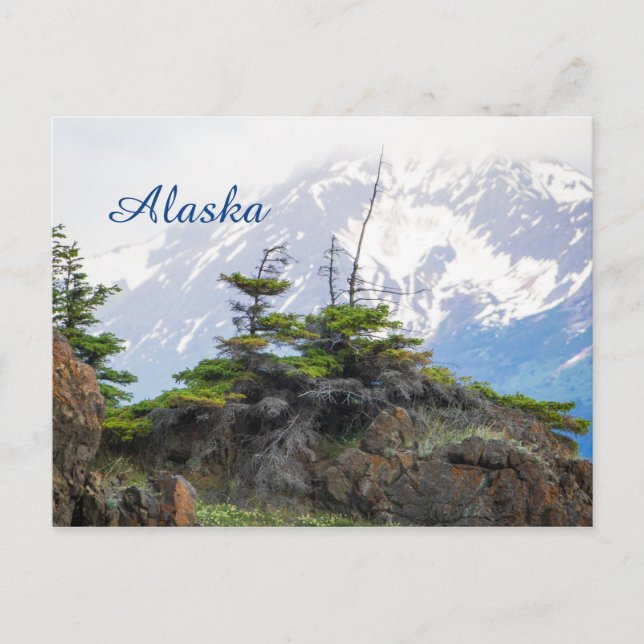 Alaska State Postcards - Bluffs and Mountains (Front)