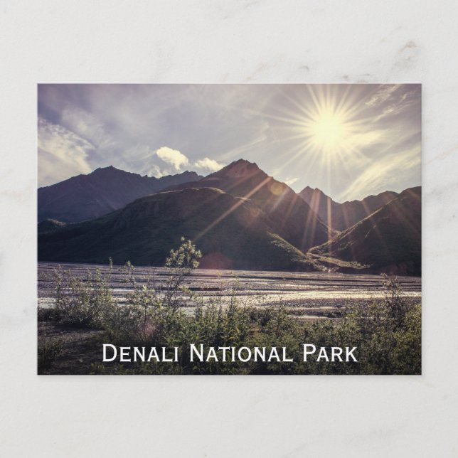 Alaska Sunbeams | Postcard (Front)