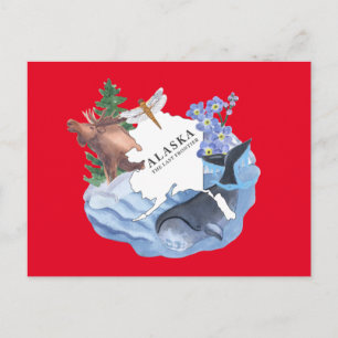 Alaska The Last Frontier State Postcard