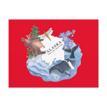Alaska The Last Frontier State Postcard