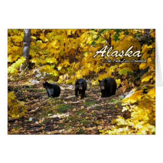 Alaska The Path Less Travelled