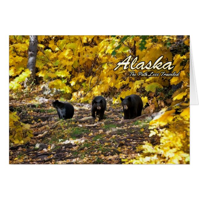 Alaska The Path Less Travelled (Front Horizontal)