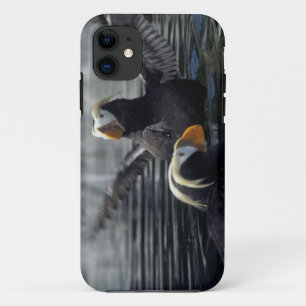 Alaska Tufted puffins iPhone 11 Case