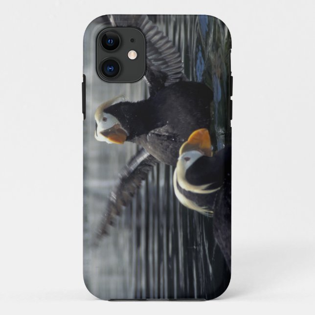 Alaska Tufted puffins Case-Mate iPhone Case (Back)