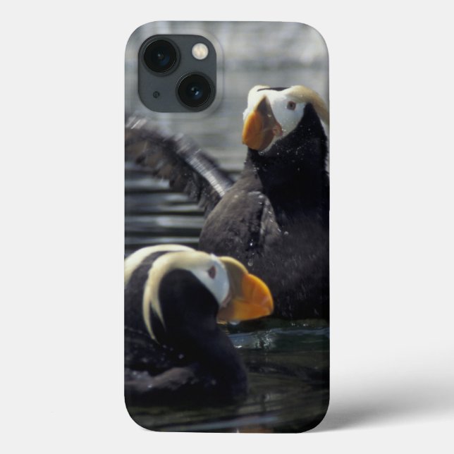 Alaska Tufted puffins Case-Mate iPhone Case (Back)