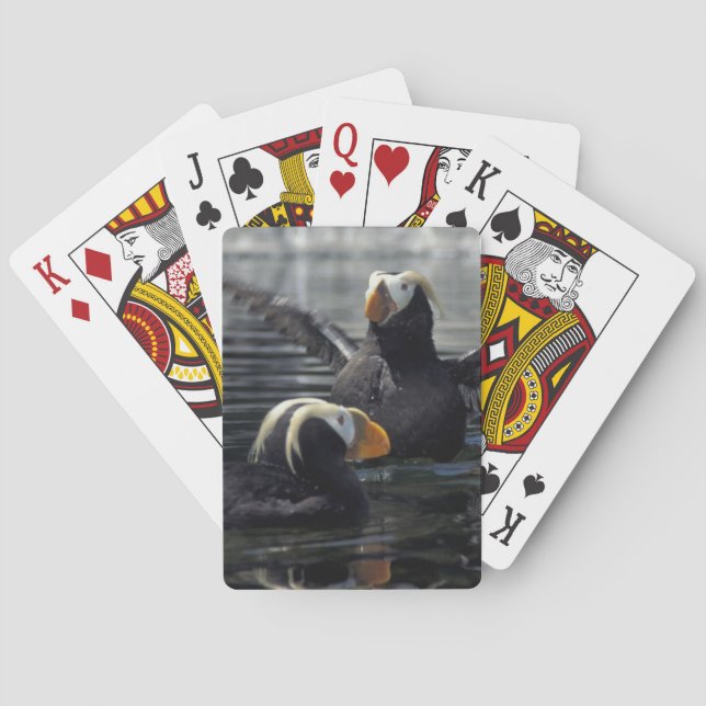Alaska Tufted puffins Playing Cards (Back)