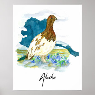 Alaska Tundra State Bird Forget Me Not Poster