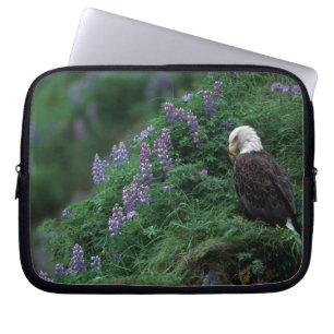 Alaska, Unalaska Island Bald Eagle among Nootka Laptop Sleeve