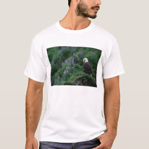 Alaska, Unalaska Island Bald Eagle among Nootka T-Shirt
