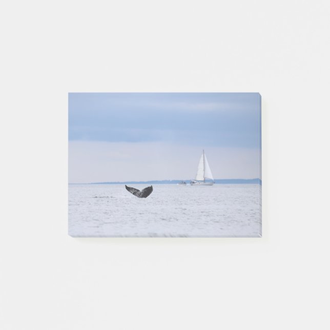 Alaska - Whale and Sailboat Post-it Notes (Front)