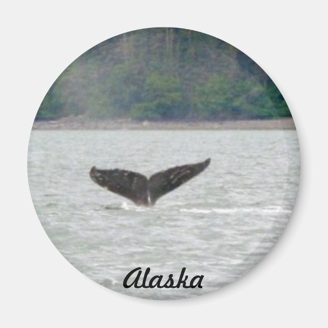 Alaska Whale Tail Magnet (Front)