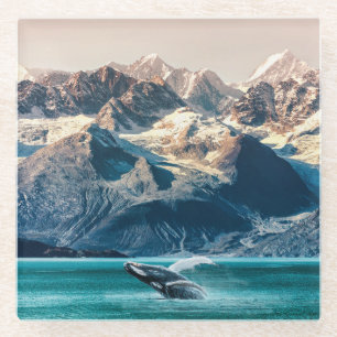Alaska whale watching: boat excursion. glass coaster