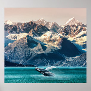 Alaska whale watching: boat excursion. poster