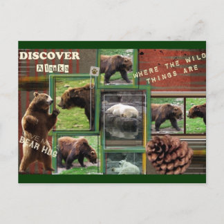 Alaska-Where The Wild Things Are Postcard