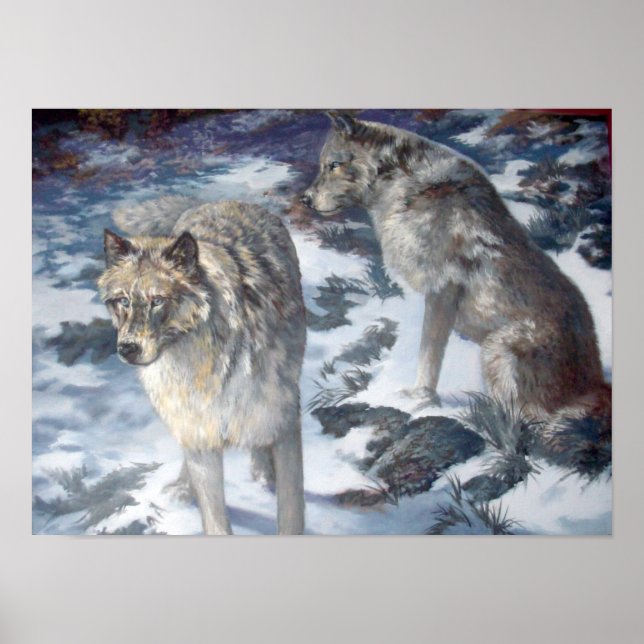 Alaska Wolf Pair during winter poster (Front)