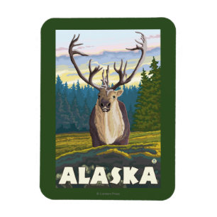 AlaskaCaribou in the Wild Vintage Travel Magnet