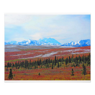 Alaskan Adventure-Denali- Landscape #3 Photo Print
