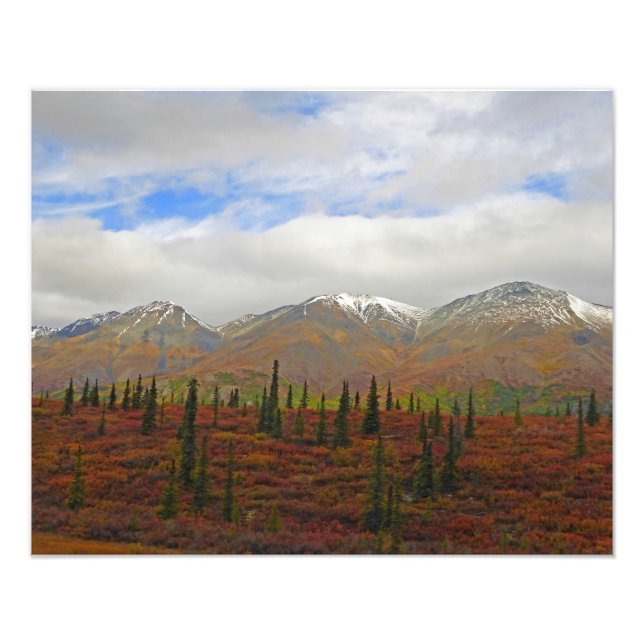 Alaskan Adventure - Landscape #9 Photo Print (Front)