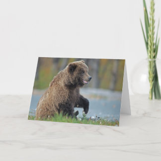Alaskan Brown Bear at Kenai NWR Card