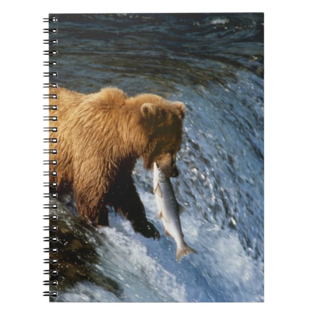 Alaskan Brown Bear Catching Salmon at Brooks Notebook (Front)