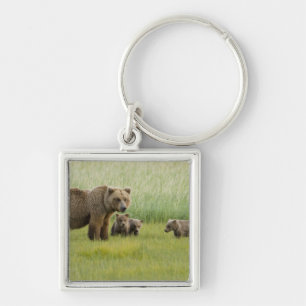 Alaskan Brown Bear Sow and three Cubs, Ursus Key Ring