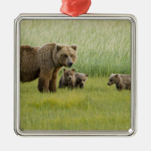 Alaskan Brown Bear Sow and three Cubs, Ursus Metal Tree Decoration