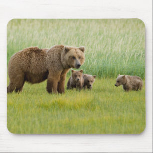 Alaskan Brown Bear with Cubs in a Meadow Mouse Pad