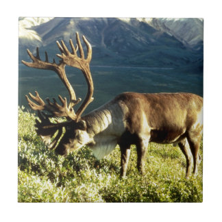 Alaskan Caribou Ceramic Tile