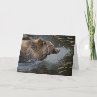 Alaskan Coastal Brown Bears note card