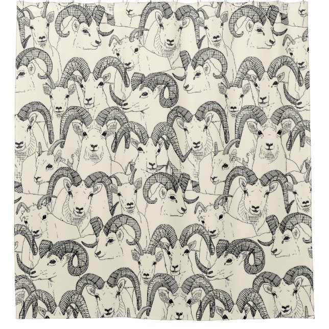 Alaskan Dall sheep black pearl Shower Curtain (Front)