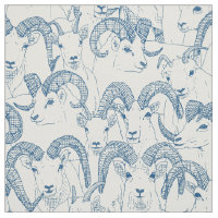 Alaskan Dall sheep classic blue pearl