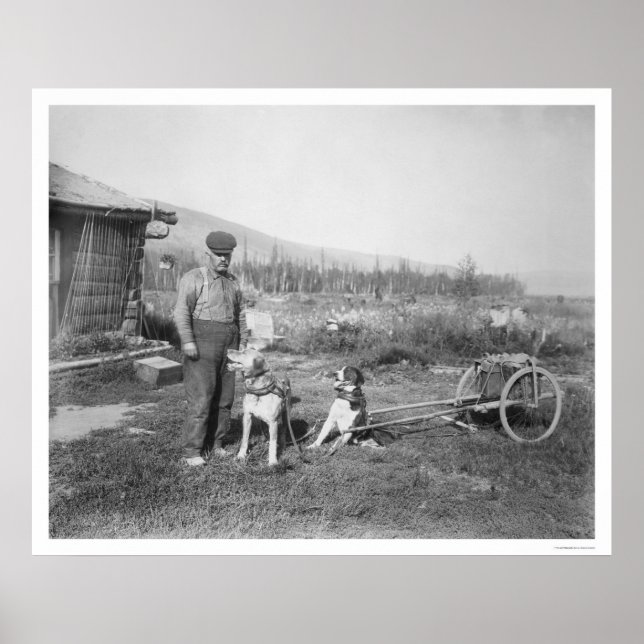Alaskan Dog Cart Transport 1916 Poster (Front)