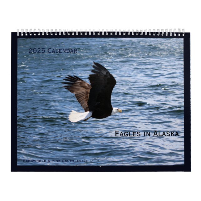 Alaskan Eagles Calendar (Cover)