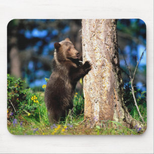 Alaskan Grizzly Bear Cub Mouse Pad