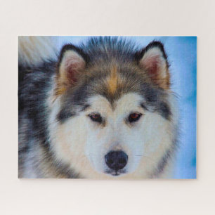 Alaskan Huskey Dog. Jigsaw Puzzle
