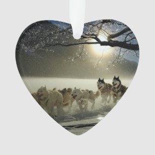 Alaskan Husky Dog Sled Race Ornament